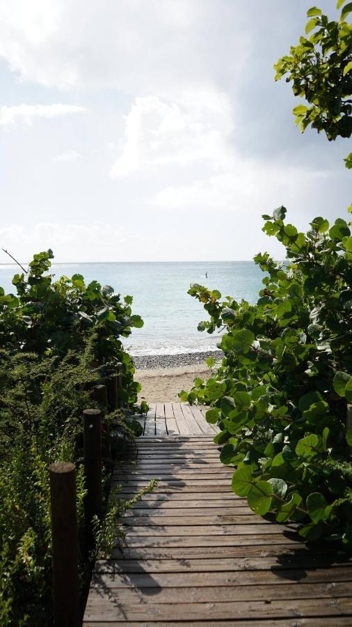 Coqui Beach Home, Culebra Isla Culebra Dış mekan fotoğraf