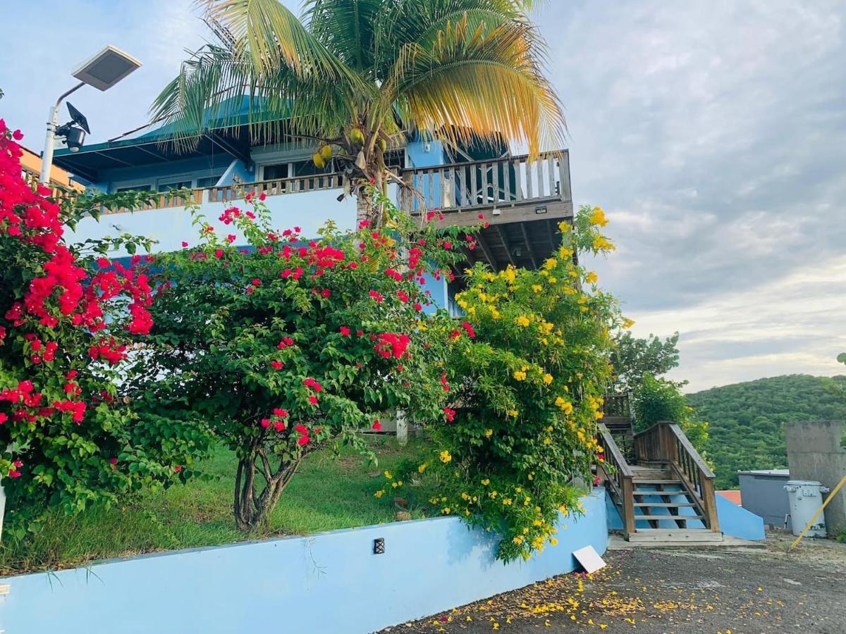 Coqui Beach Home, Culebra Isla Culebra Dış mekan fotoğraf
