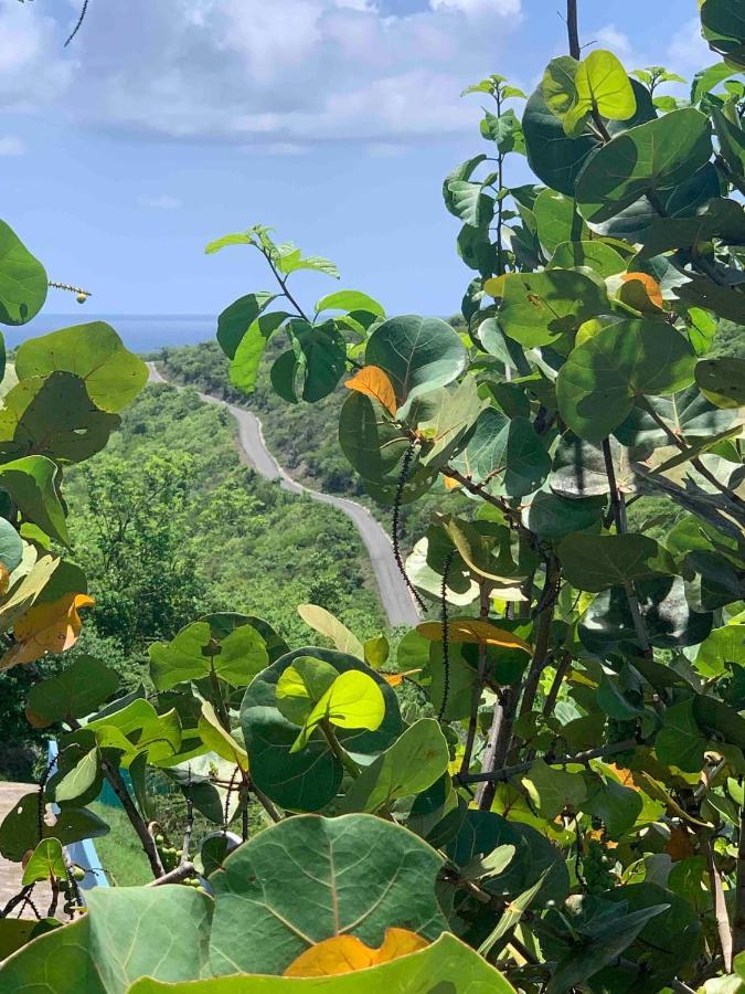 Coqui Beach Home, Culebra Isla Culebra Dış mekan fotoğraf