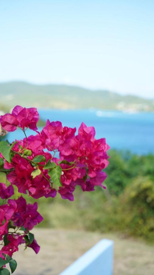 Coqui Beach Home, Culebra Isla Culebra Dış mekan fotoğraf