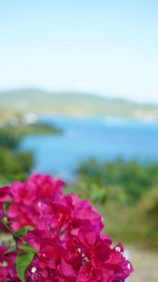 Coqui Beach Home, Culebra Isla Culebra Dış mekan fotoğraf