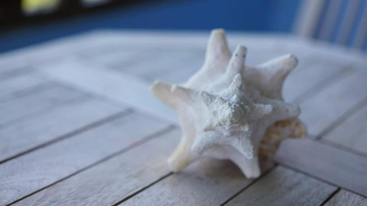 Coqui Beach Home, Culebra Isla Culebra Dış mekan fotoğraf